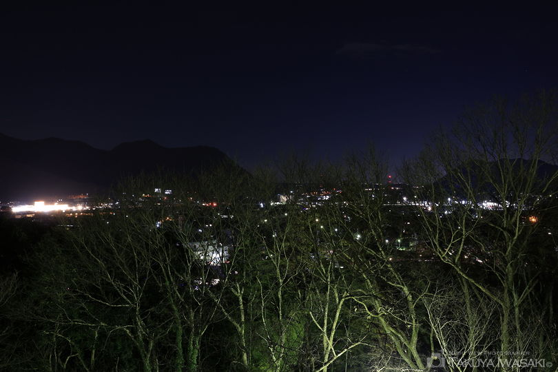 童子山公園の夜景スポット写真（1）