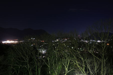 童子山公園の夜景スポット写真（1）class=