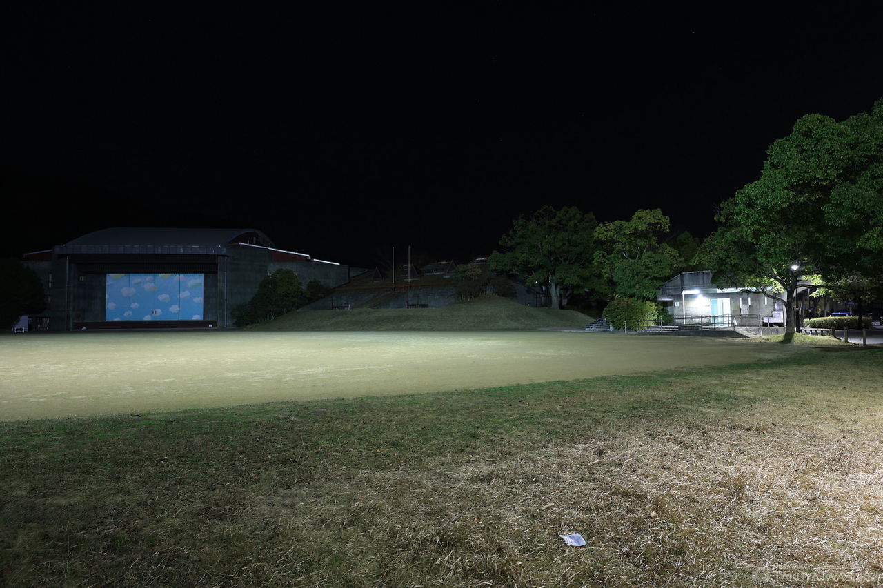 童子山公園の夜景スポット写真（3）
