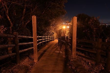 夢の森公園 金鑵城遺跡広場の夜景スポット写真（3）class=