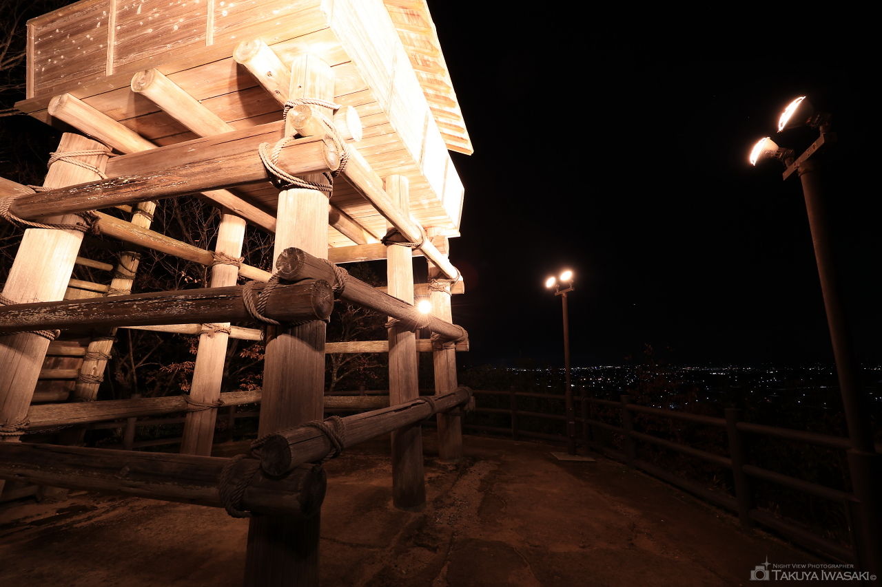 夢の森公園 金鑵城遺跡広場の夜景スポット写真（4）