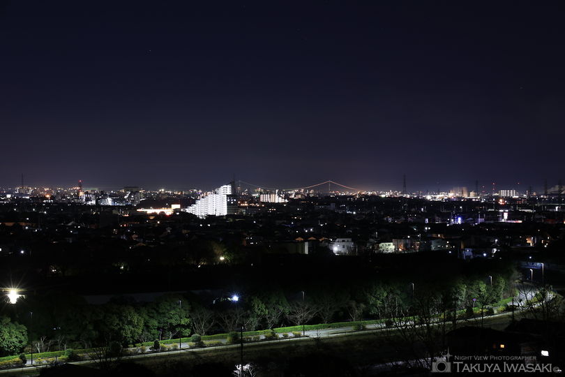 生石神社の夜景スポット写真（2）