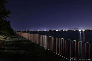 県立高砂海浜公園・向島公園の夜景スポット写真（3）class=