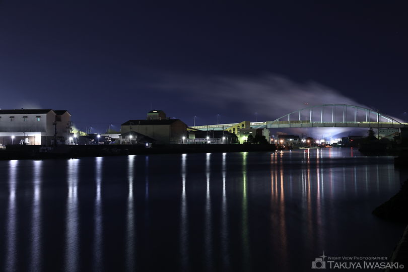 県立高砂海浜公園・向島公園の夜景スポット写真（5）
