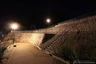 植山古墳公園の夜景スポット写真（5）class=