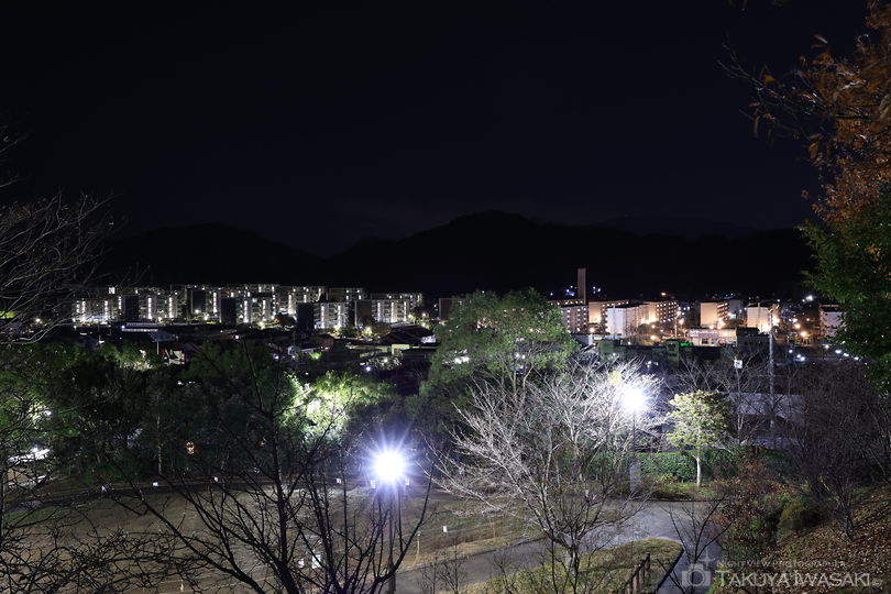 見瀬近隣公園の夜景スポット写真（1）