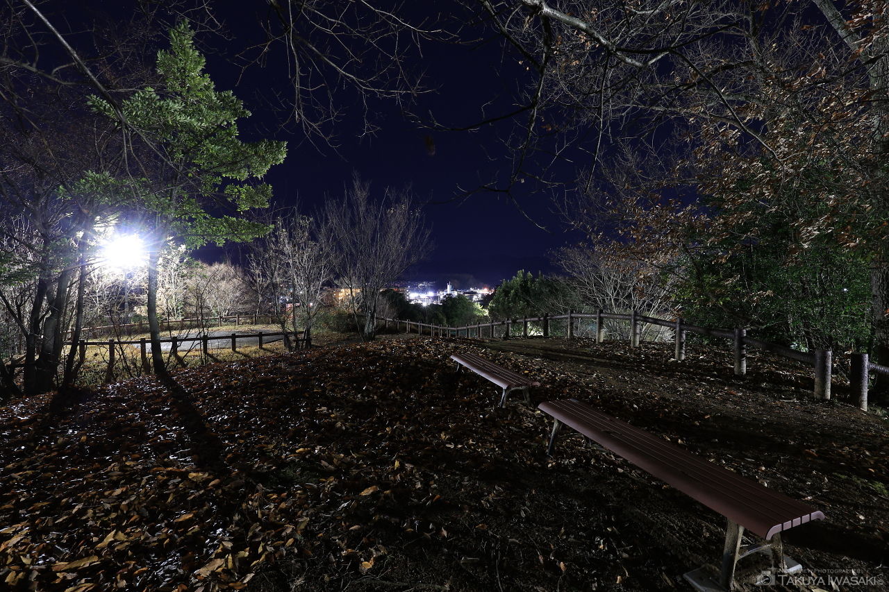 見瀬近隣公園の夜景スポット写真（3）