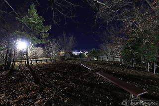 見瀬近隣公園の夜景スポット写真（3）class=