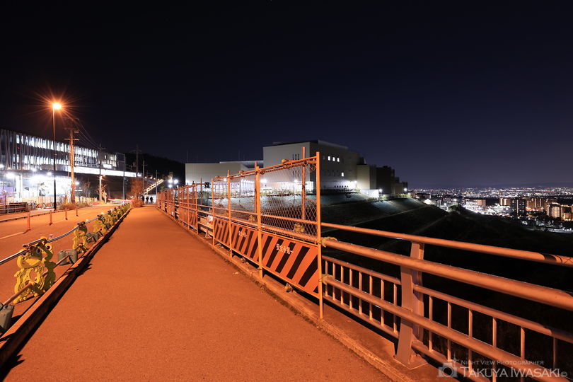 せせらぎ橋の夜景スポット写真（5）