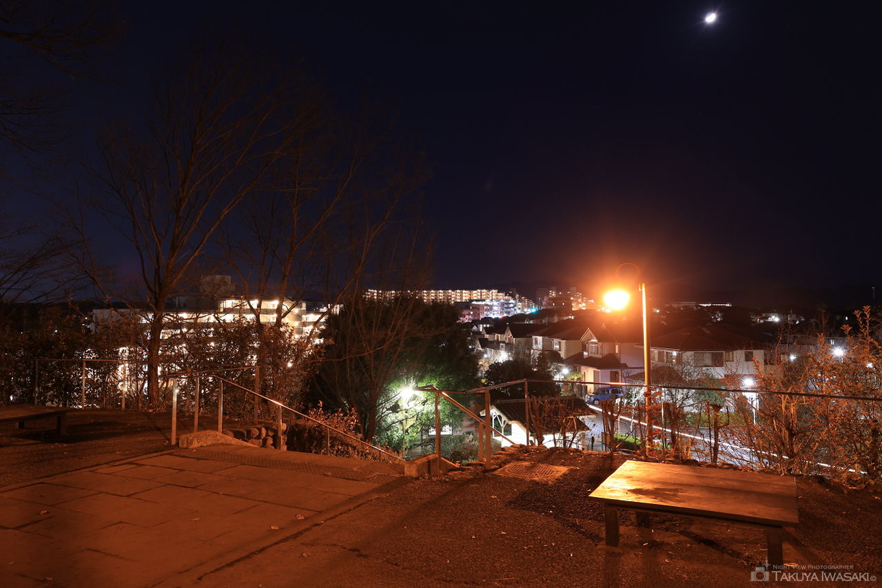みなみ野の丘公園の夜景スポット写真（3）