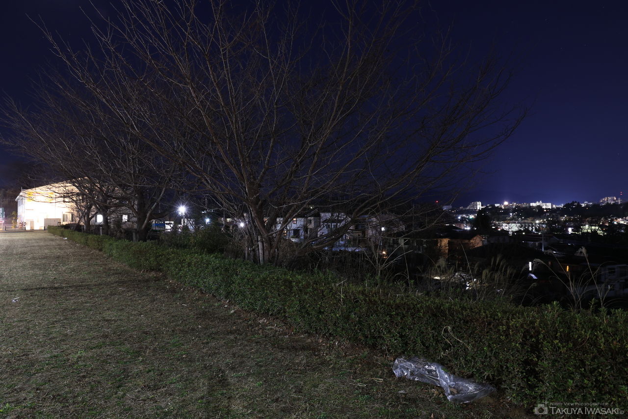 みなみ野栃谷戸西緑地の夜景スポット写真（3）