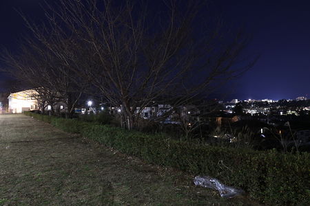 みなみ野栃谷戸西緑地の夜景スポット写真（3）class=