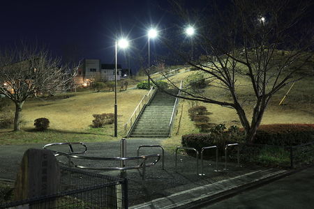 七国君田公園の夜景スポット写真（6）class=