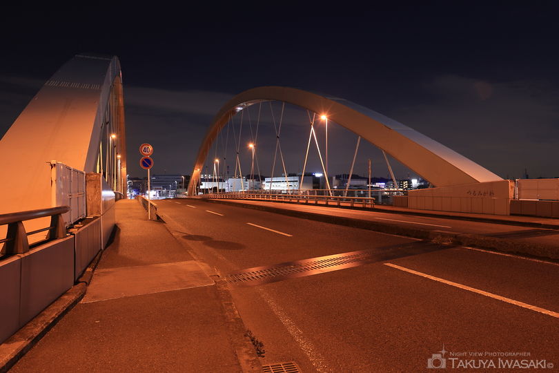 鴨池大橋の夜景スポット写真（5）