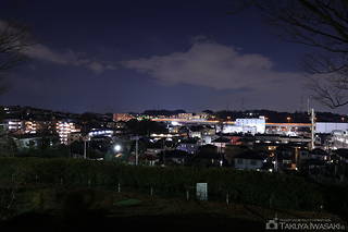 川上公園の夜景スポット写真（1）class=