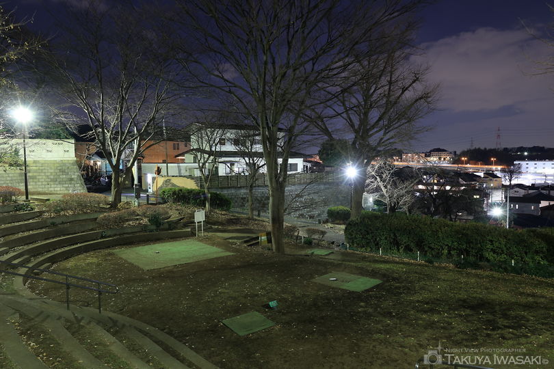 川上公園の夜景スポット写真（4）