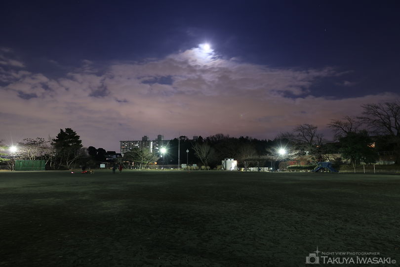 川上公園の夜景スポット写真（5）