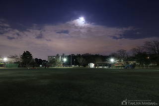 川上公園の夜景スポット写真（5）class=
