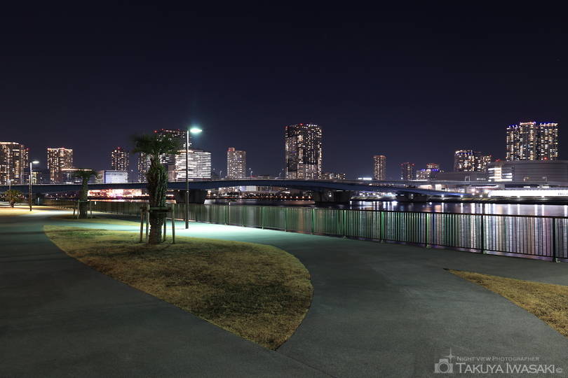 晴海緑道公園（東地区）の夜景スポット写真（5）