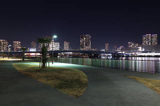晴海緑道公園（東地区）の夜景スポット写真（5）class=