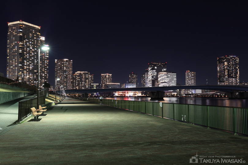 晴海緑道公園（東地区）の夜景スポット写真（6）