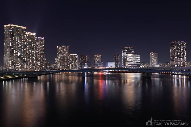 豊洲大橋（東側）の夜景スポット写真（1）