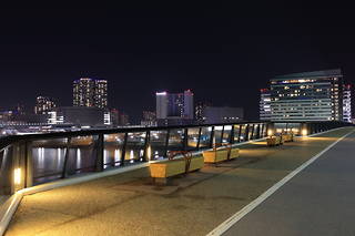 豊洲大橋（東側）の夜景スポット写真（5）class=