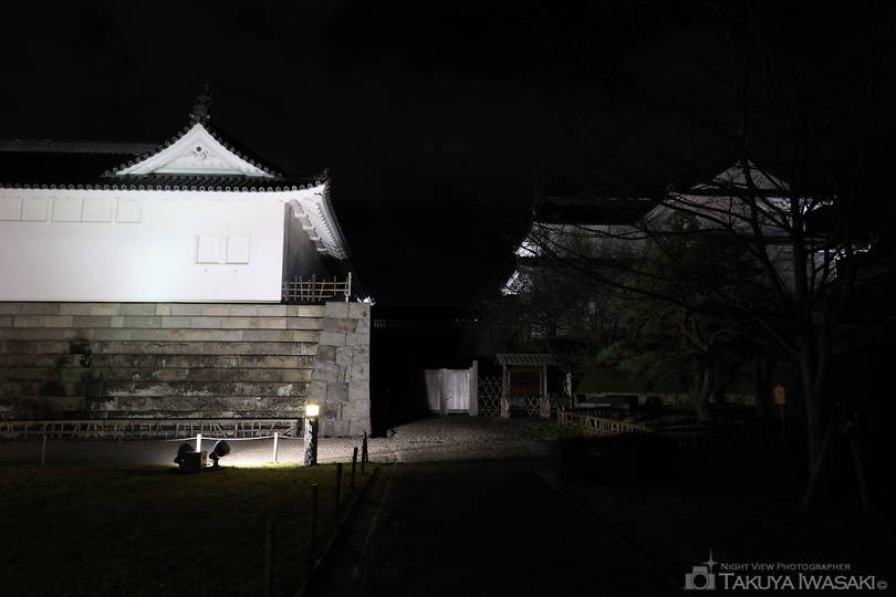 駿府城公園の夜景スポット写真（3）
