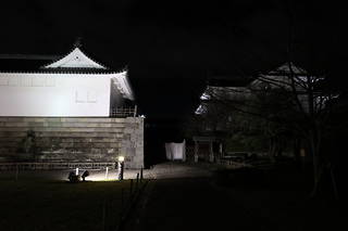 駿府城公園の夜景スポット写真（3）class=