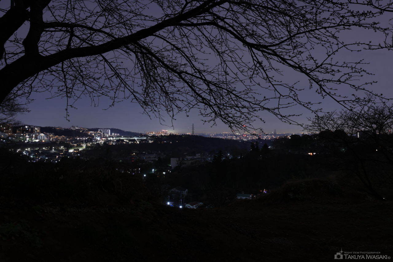 稲城ふれあいの森手前の夜景スポット写真（3）