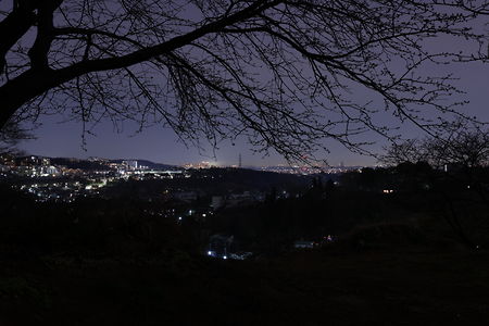 坂浜・稲城中央公園方面の夜景