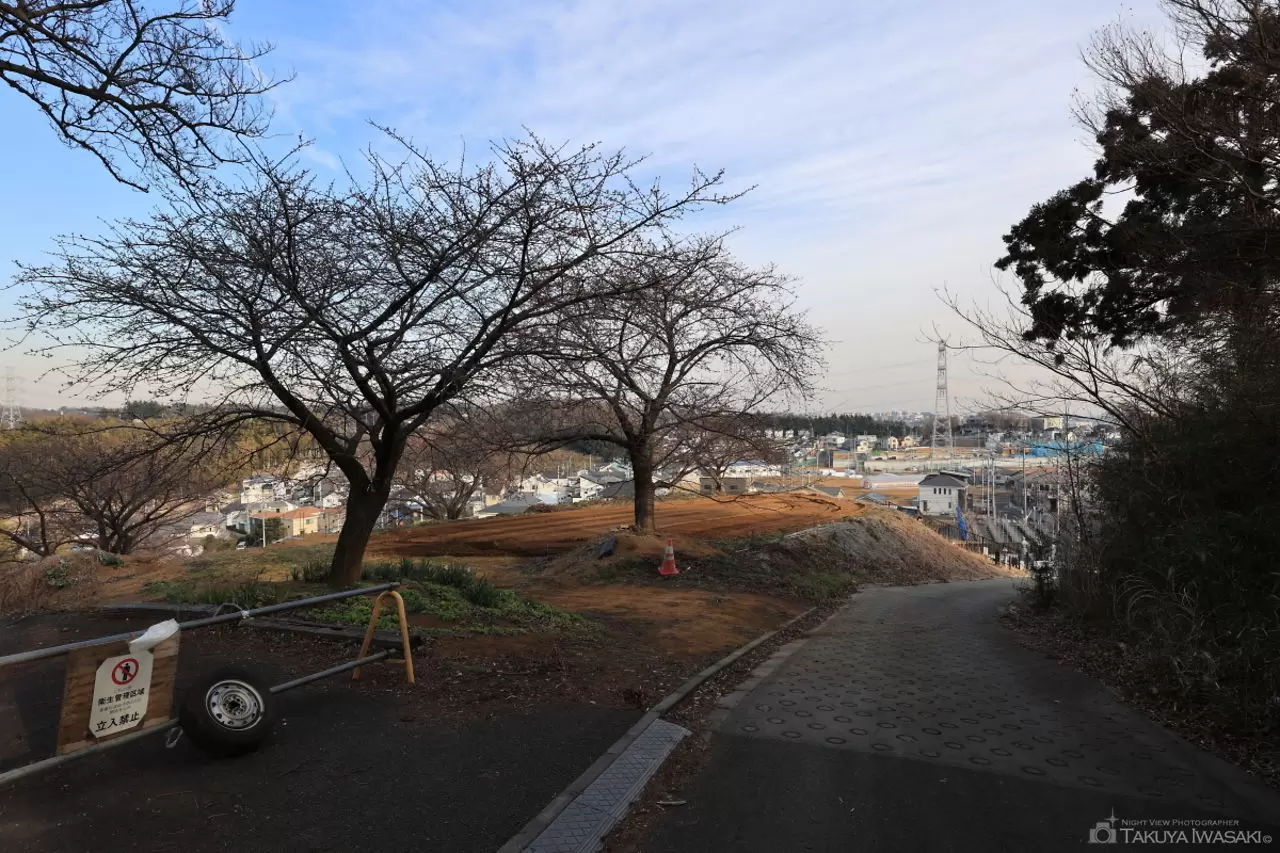 稲城ふれあいの森手前の夜景（東京都稲城市）