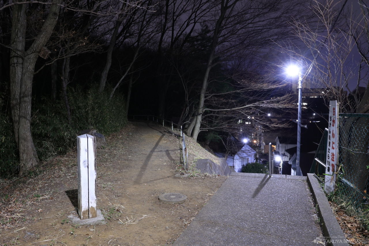七生丘陵散策路東コースの夜景スポット写真（3）