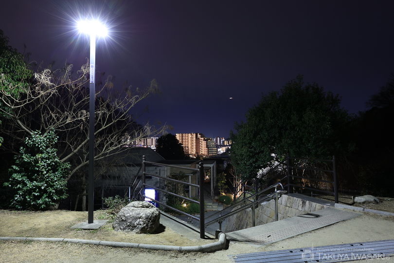 堀之内東山もりみの公園の夜景スポット写真（2）
