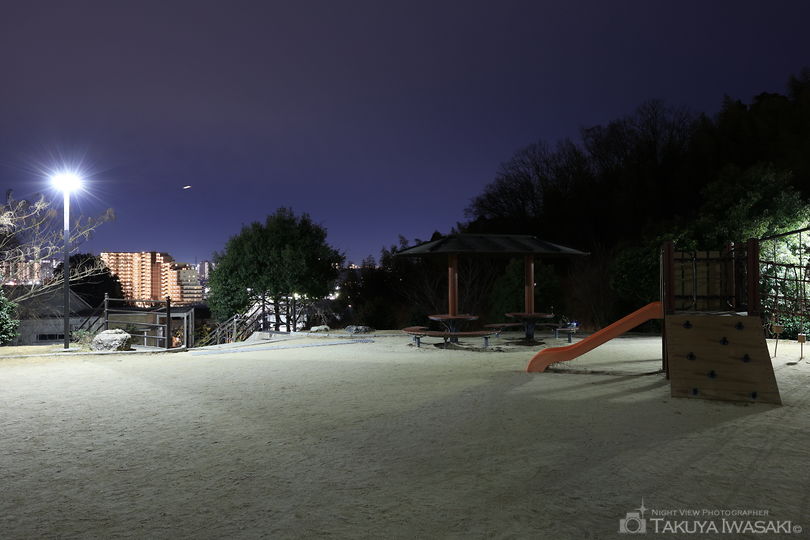 堀之内東山もりみの公園の夜景スポット写真（3）