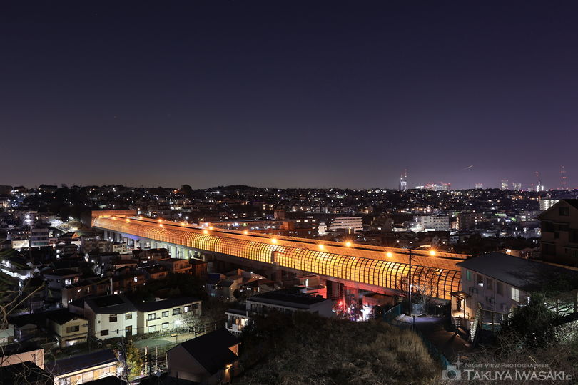 星川第二歩道橋の夜景スポット写真（2）