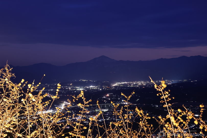 宝登山の夜景スポット写真（2）