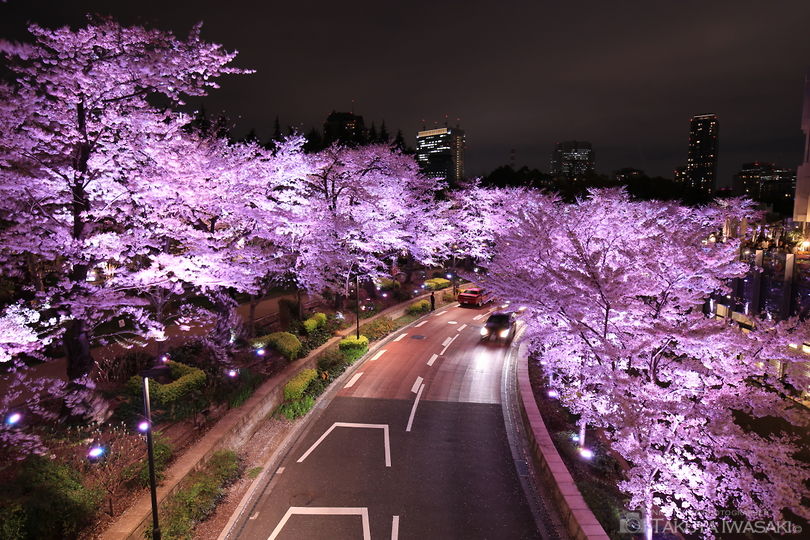 東京ミッドタウンの夜景スポット写真（1）