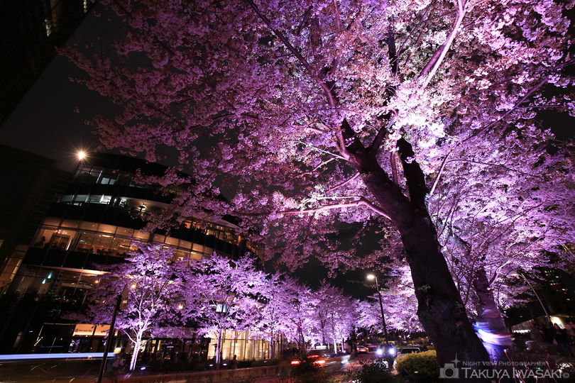 東京ミッドタウンの夜景スポット写真（2）