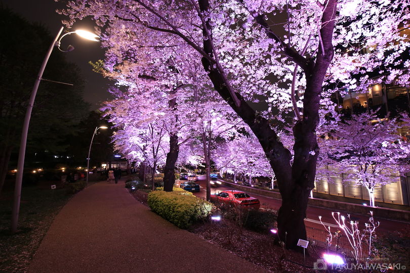 東京ミッドタウンの夜景スポット写真（3）