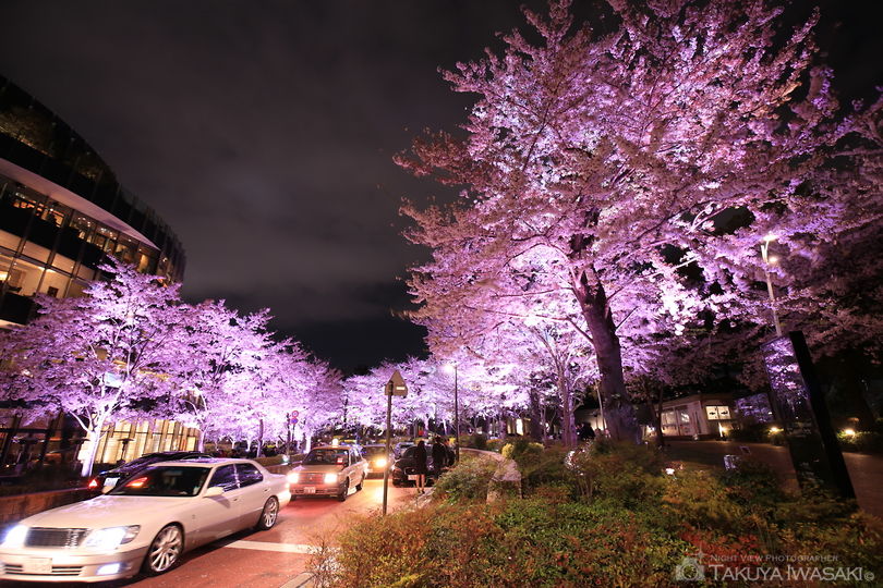 東京ミッドタウンの夜景スポット写真（4）