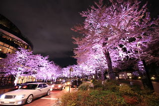 東京ミッドタウンの夜景スポット写真（4）class=