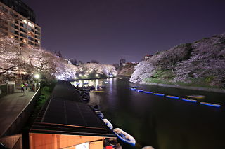 ボート場と夜桜