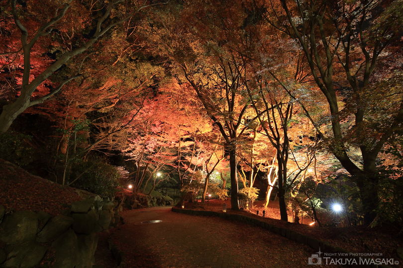 須磨離宮公園の夜景スポット写真（1）