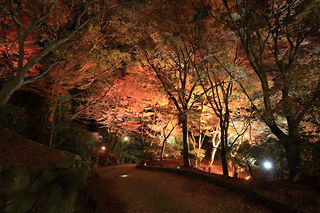須磨離宮公園の夜景スポット写真（1）class=
