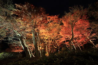 須磨離宮公園の夜景スポット写真（2）class=