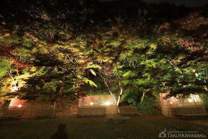 須磨離宮公園の夜景スポット写真（4）