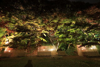 須磨離宮公園の夜景スポット写真（4）class=