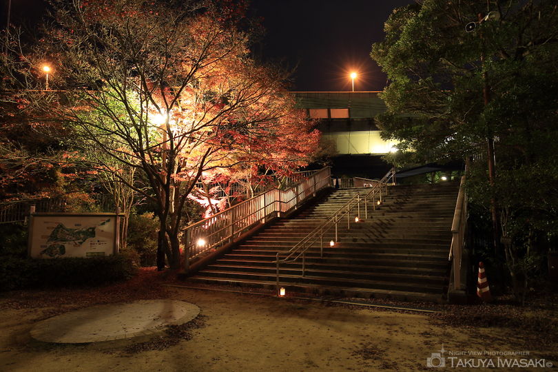 須磨離宮公園の夜景スポット写真（5）