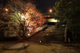 須磨離宮公園の夜景スポット写真（5）class=